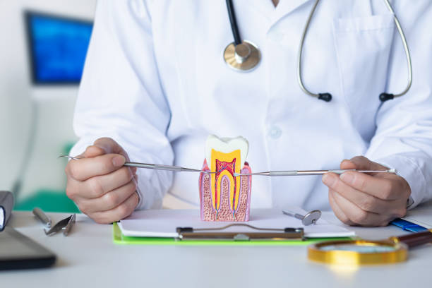 Best Emergency Orthodontic Repairs in Trenton, OH